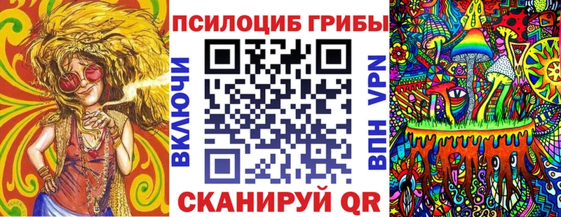 Галлюциногенные грибы Psilocybine cubensis  Донской 