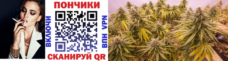 Шишки марихуана гибрид Донской